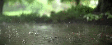 5e73cc3467c48f66893bd085ef70bedf_105012024032800013302.gif