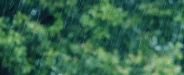 d44389f39020df6697dcb5b33639e253_105012024032800013298.gif