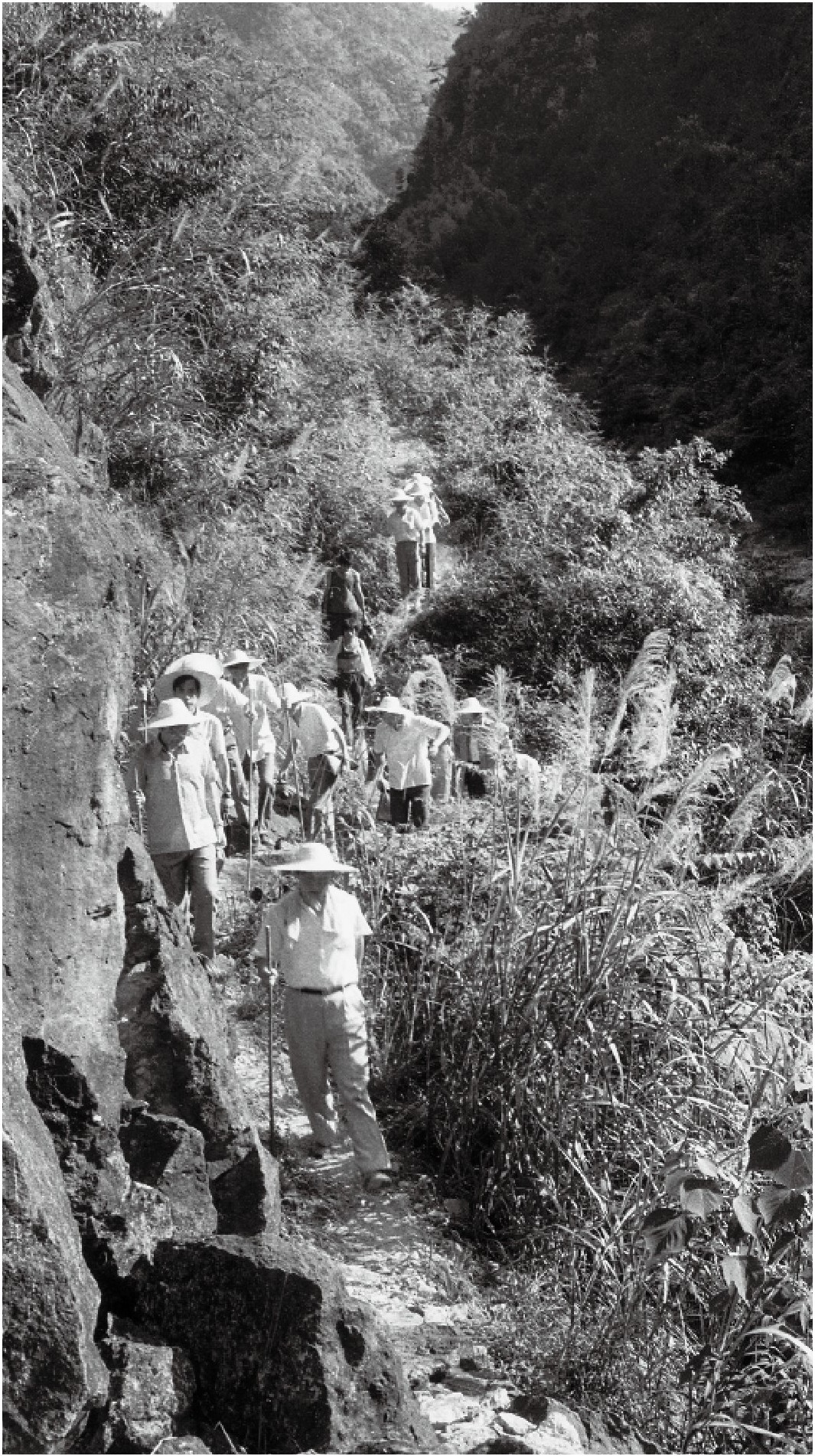 1989年7月,习近平一行到寿宁县下党乡调研。(图片来源:《习近平与大学生朋友们》) 1989年7月,习近平一行到寿宁县下党乡调研。