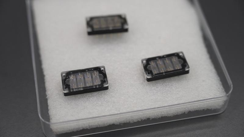 嗅觉模组搭载的芯片。记者 邹宸 摄