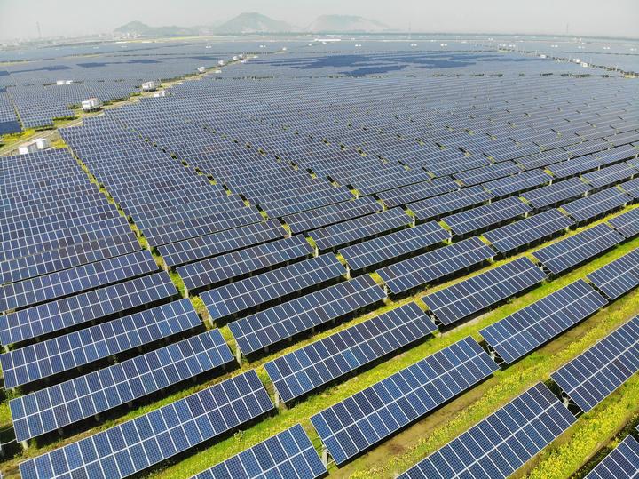 位于乐清的农光互补电站。正泰集团 供图