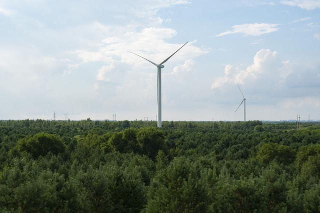 这是2025年7月28日在内蒙古通辽市拍摄的科左后旗科尔沁沙地“双百万亩”综合治理项目林场。新华社记者 丁赫 摄