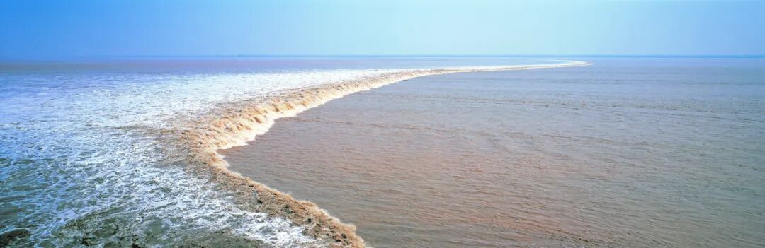 之江潮 图源:潮新闻客户端