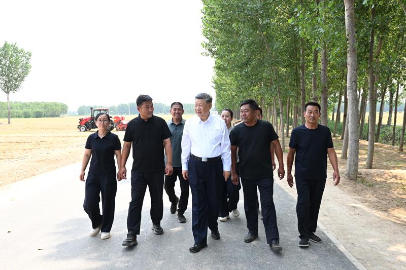 △2026年6月24日,习近平总书记在山东德州陵城区边临镇东于架村同种粮大户、农机手、农技人员亲切交流。